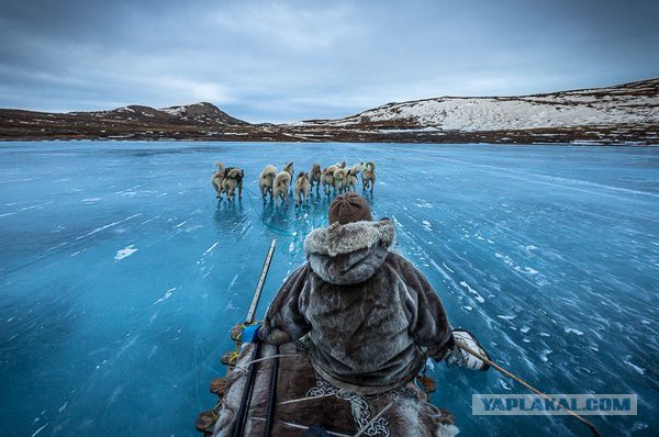 Больше, чем фото