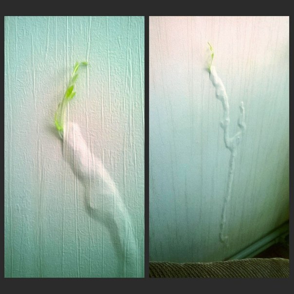 Моменты, запечатлённые на фото и просто позитив 4