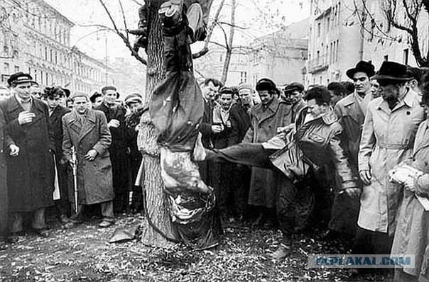 Наглядная разница менталитетов