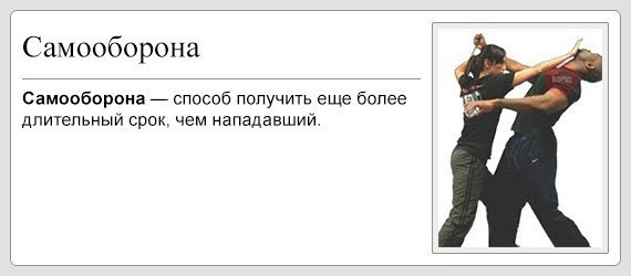 Подборка смешных картинок с надписями