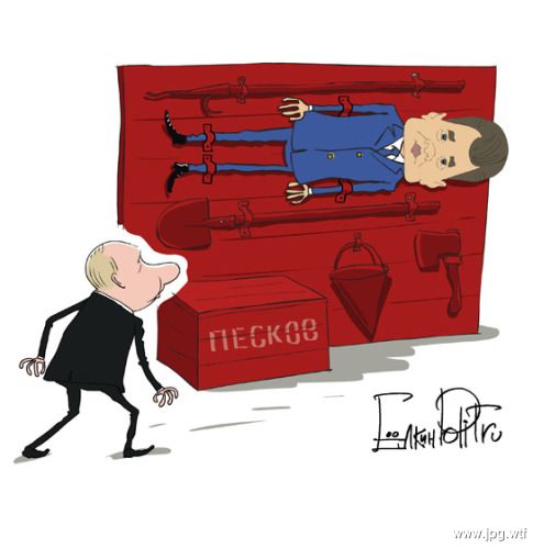 Шойгу может сменить Медведева на посту премьера до декабря
