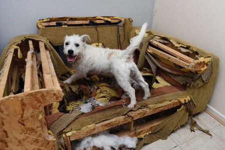 Немного позитива на выходной я начну а вы продолжите