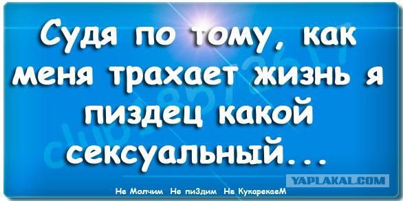 Подборка перлов и высказываний