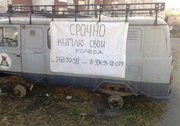 Подборка безудержного веселья
