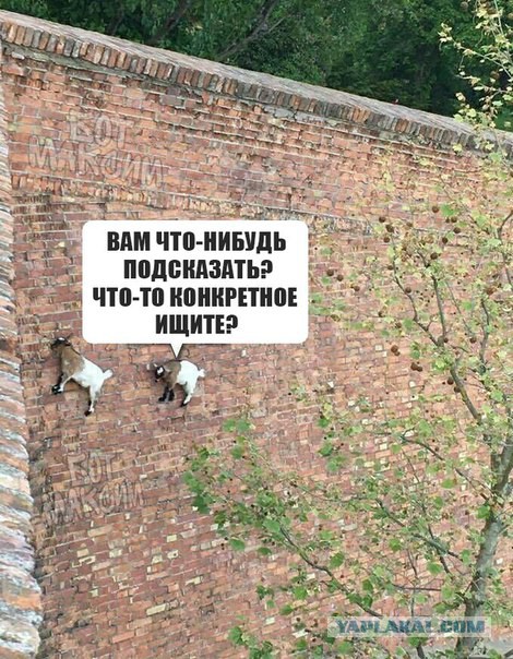 Картинки с глубочайшим жизненным смыслом