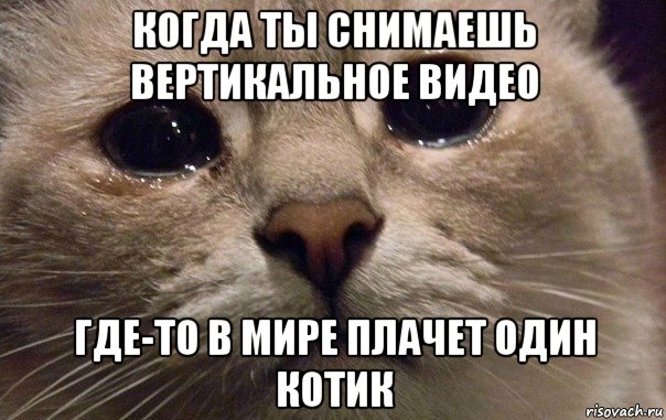 Характер нордический... или купание кота