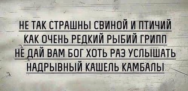 Человек разумный. Но это не точно