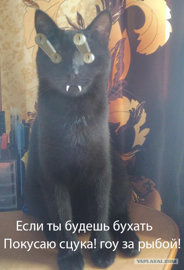 Как я на рыбалку не пошел