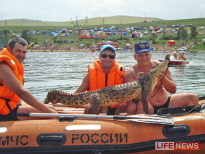 Сибирский крокодил