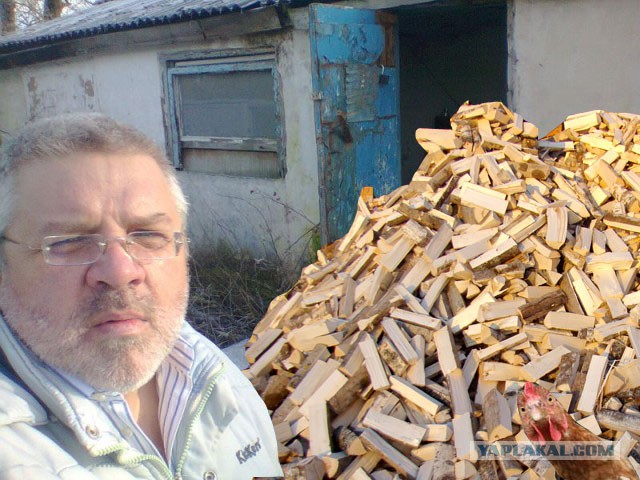 Дров не дали. Как жить бедному крестьянину?