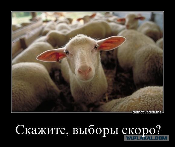 Президентские выборы 2012 (опрос)