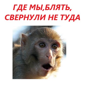 Абсурдная толерантность в фильмах