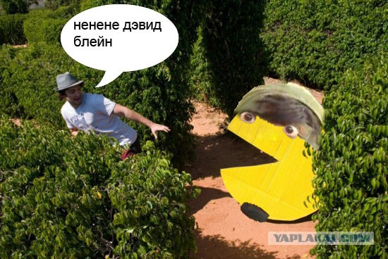 Конкурс фотожабы от интернет-магазина Mrsoft