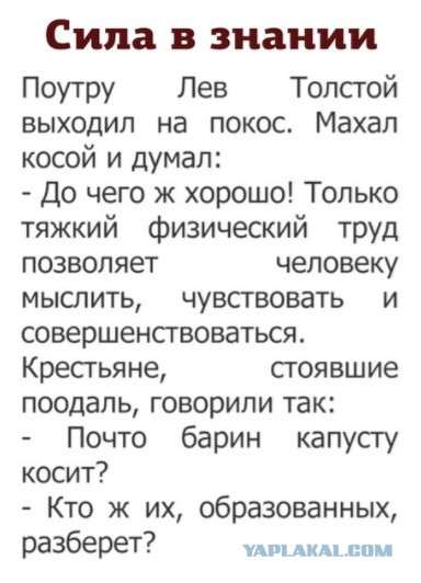 9 малоизвестных фактов о Льве Толстом, от которых опешат даже учителя литературы