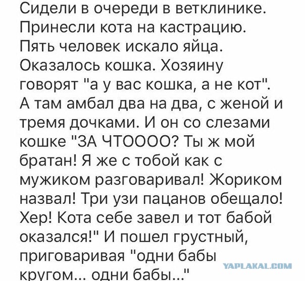 Фотки и картинки: юморные и красивые, забавные и милые 20.04.21