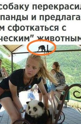 Сочи. Бизнес