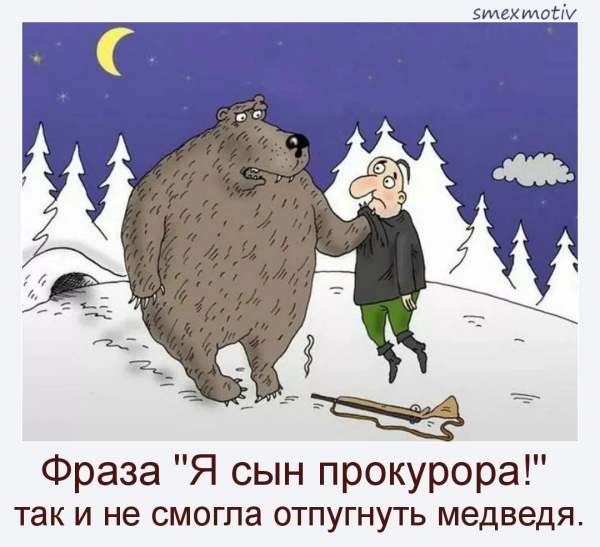 Я дочь федерального судьи