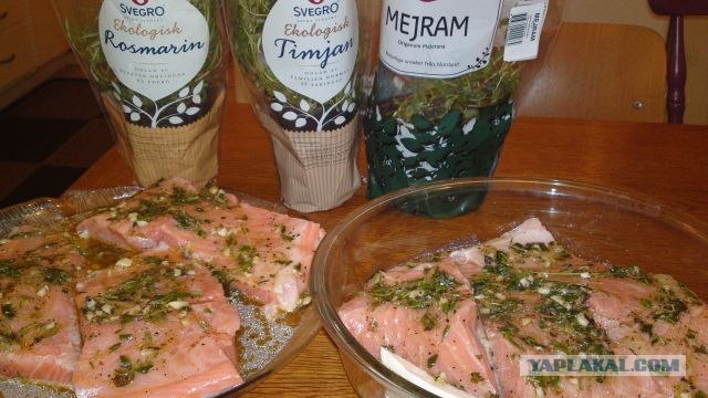 Сёмга, запечённая c шафрановым пореем
