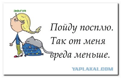 Зеленский прокомментировал фразу Путина «нравится — не нравится, терпи, моя красавица»