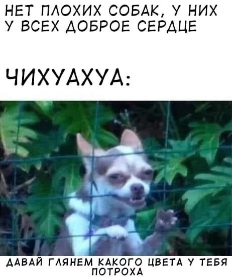 Так себе картинки 15.02.22