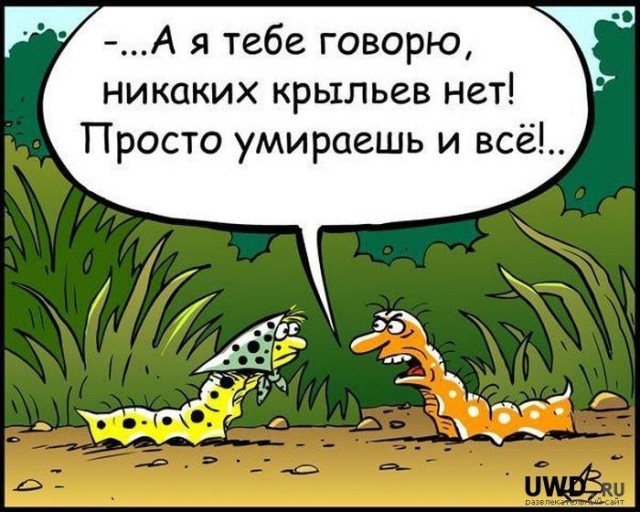 Так себе картинки 13.07.22