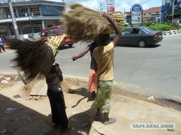 AFRICA - (Эфиопия,Кения,Танзация) 4-16 ноября 2011