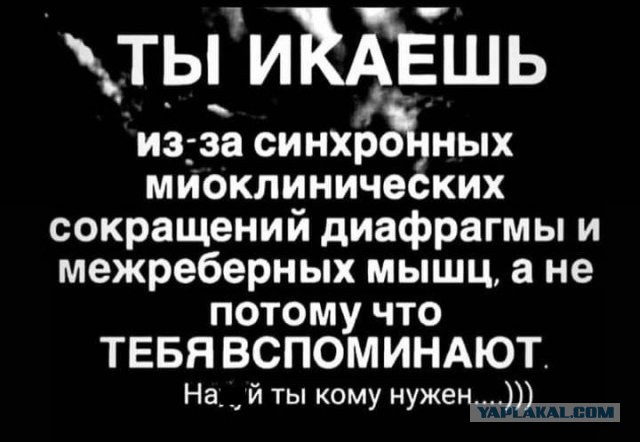 Чернила-4
