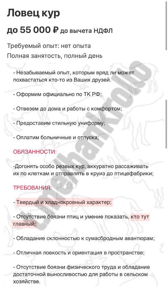 Победная поступь идиотизма по планете – том 14