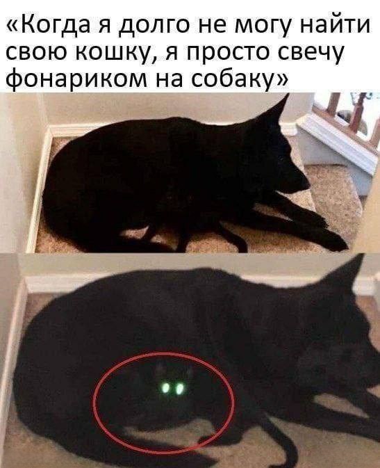 Картинок пост 1.11.2023
