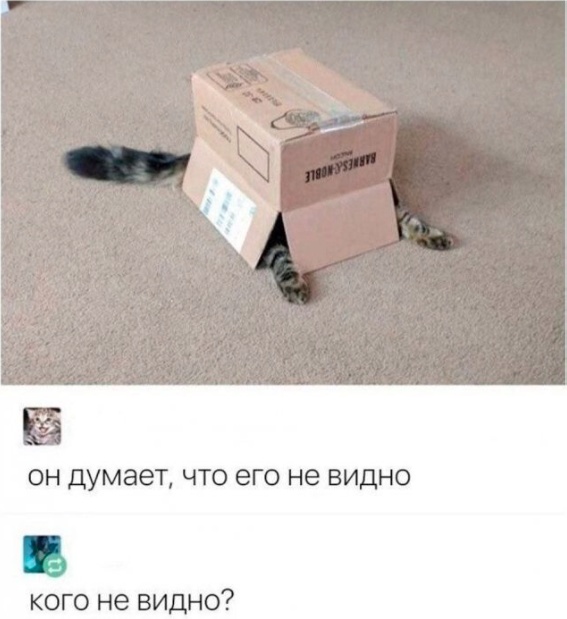 Весёлый полтишок 05.08.24