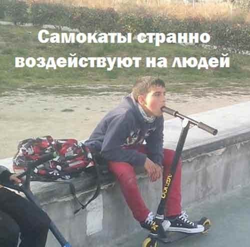 Так себе картинки 31.10.24