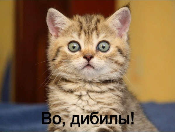 Хвастунишки