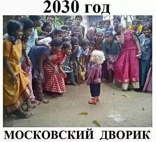 С меня картинки