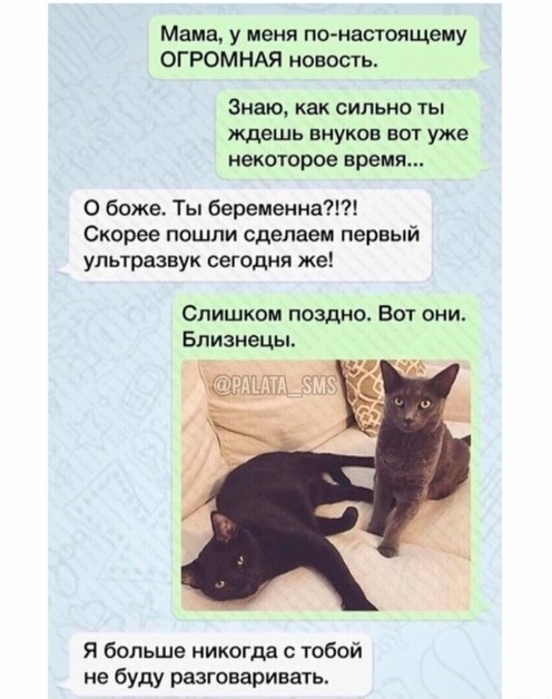 Так себе картинки 01.03.25