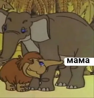 Как долго я ждала этих слов