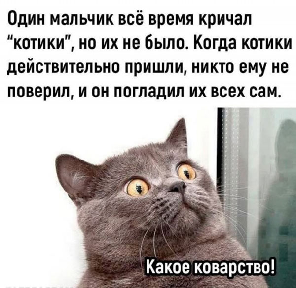 Утречко. Боянчики. Красоточка