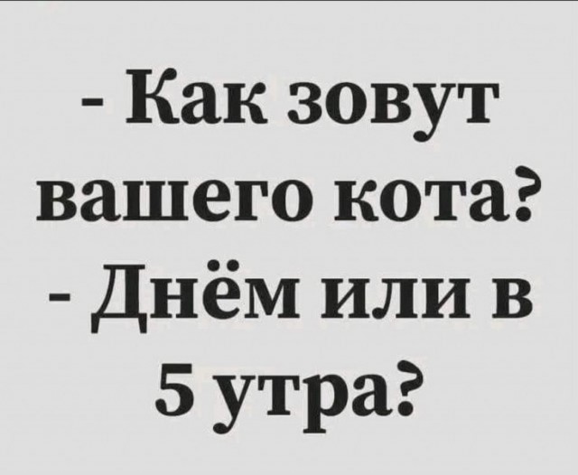 К котовторнику: подборка картинок-баянов с котиками и про котиков. Выпуск 20.