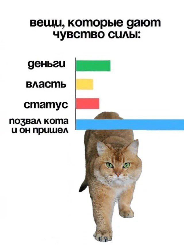 Картинки для деградации 87 (разной степени свежести)