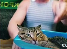 Если бы мой день начинался так