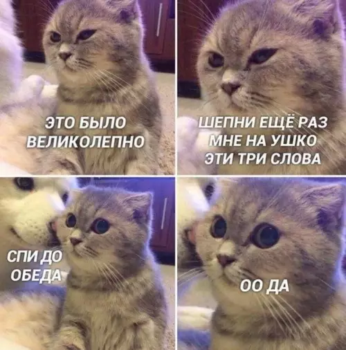 Картиночки, баянчики 10 марта