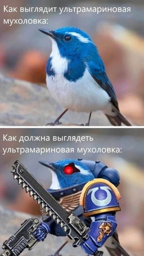 Картиночки, баянчики 09 июня