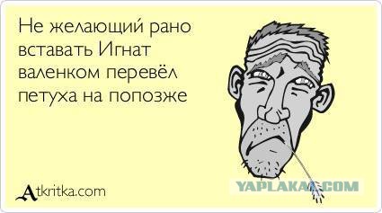 Весёлые картинки. Разбавим будни