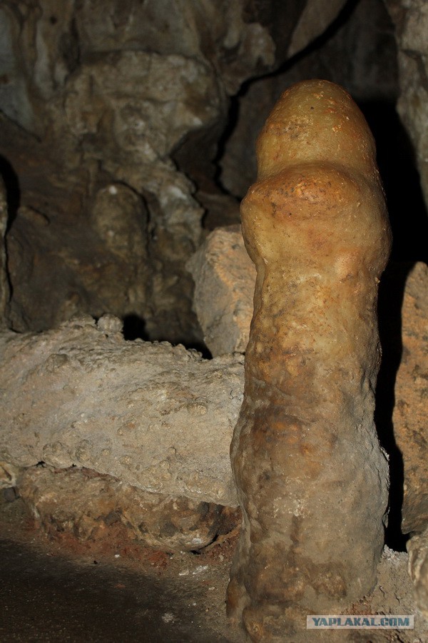 Дорога из Киева и из Москвы в Ялту.