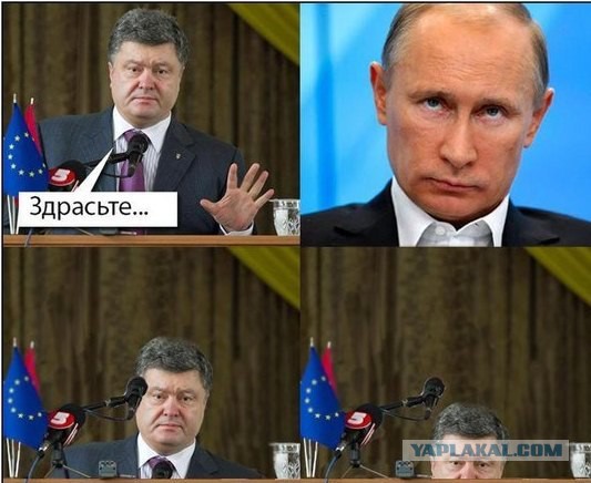 СМИ сообщили об отмене встречи Путина и Порошенко