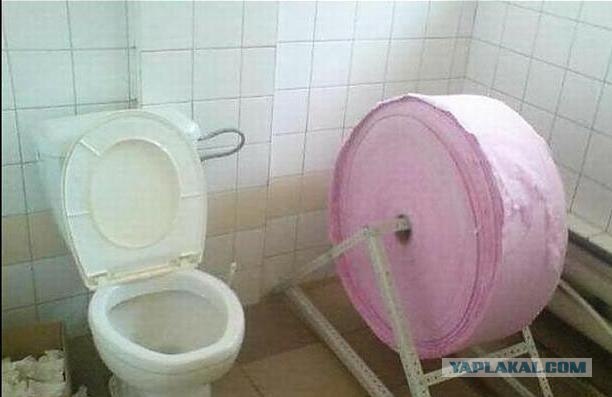 Вот это корма у дамочки!