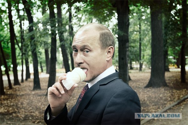 Медведев в McDonald's