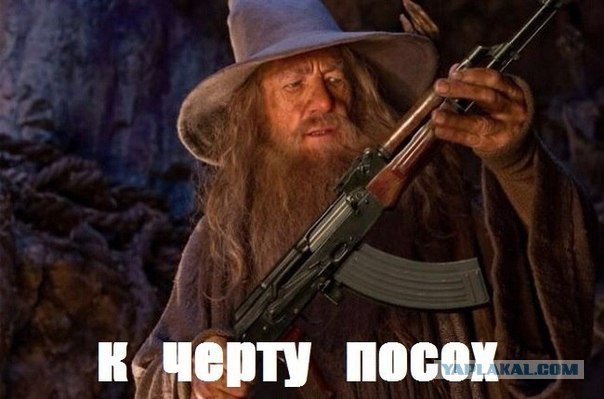 Смешные комментарии из социальных сетей 11.11.2014