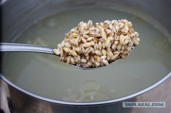 Рассольник, (FrauMarta, Ammok, Mitsv - против похмел