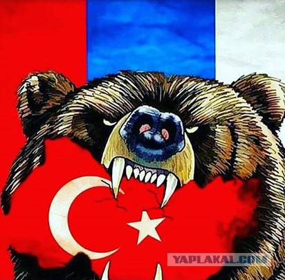 Гнев россиян на Турцию в карикатурах