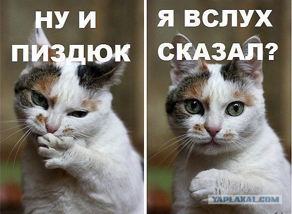 Как делают белорусские "адидасы"
